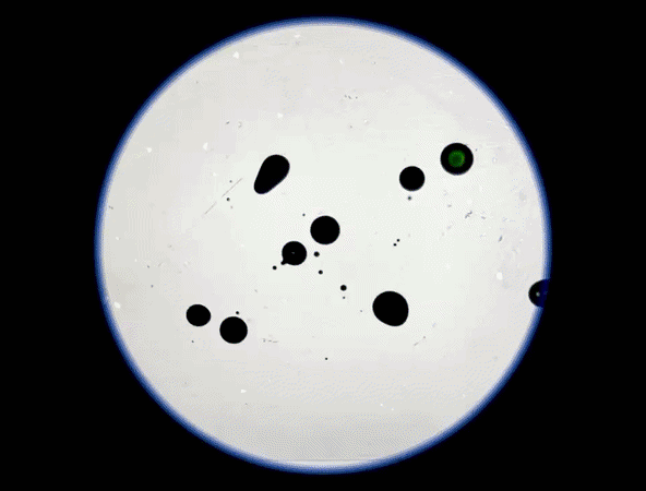 Caleidoscope